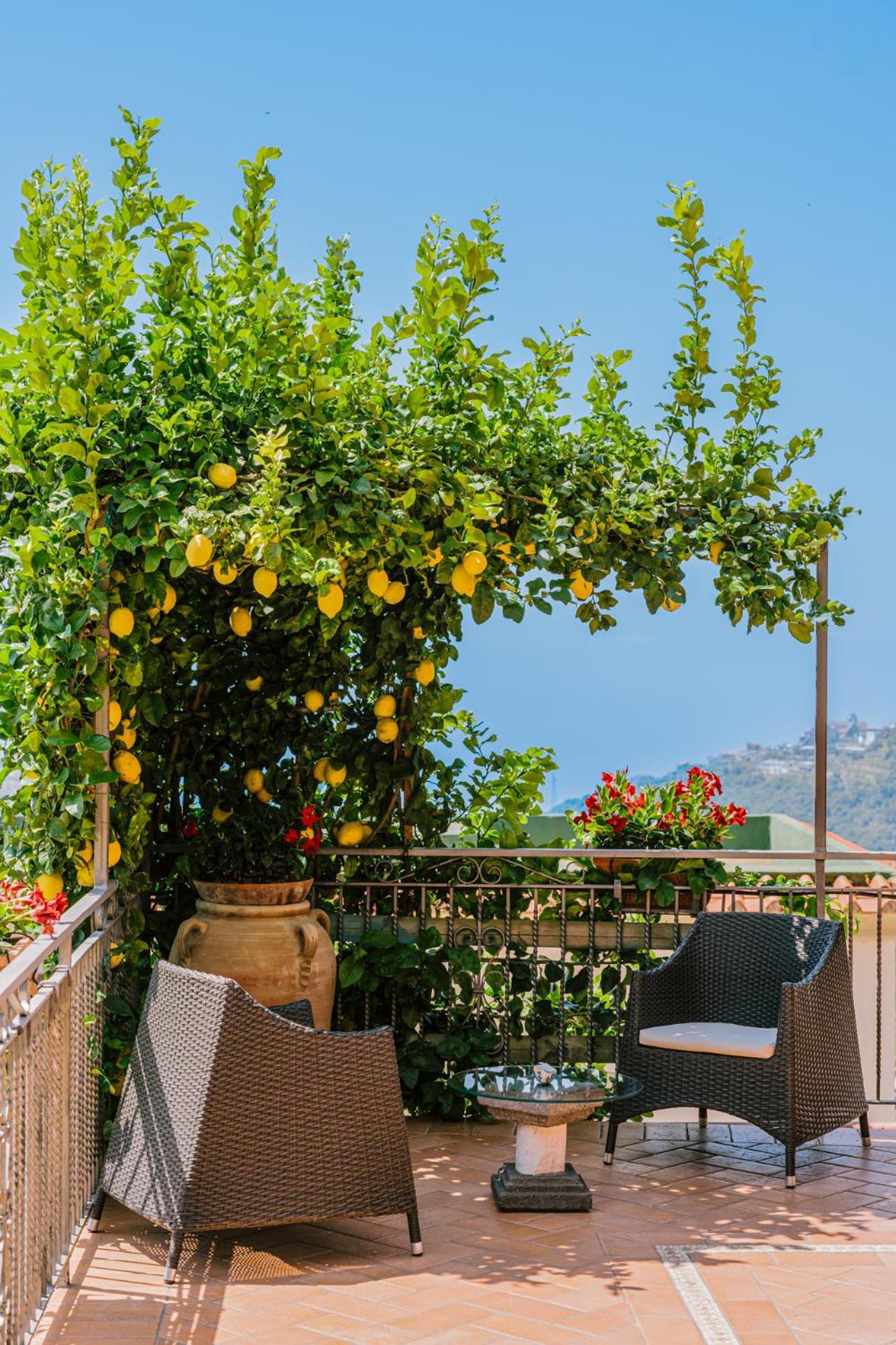 B&B Il Cortile Равело Екстериор снимка